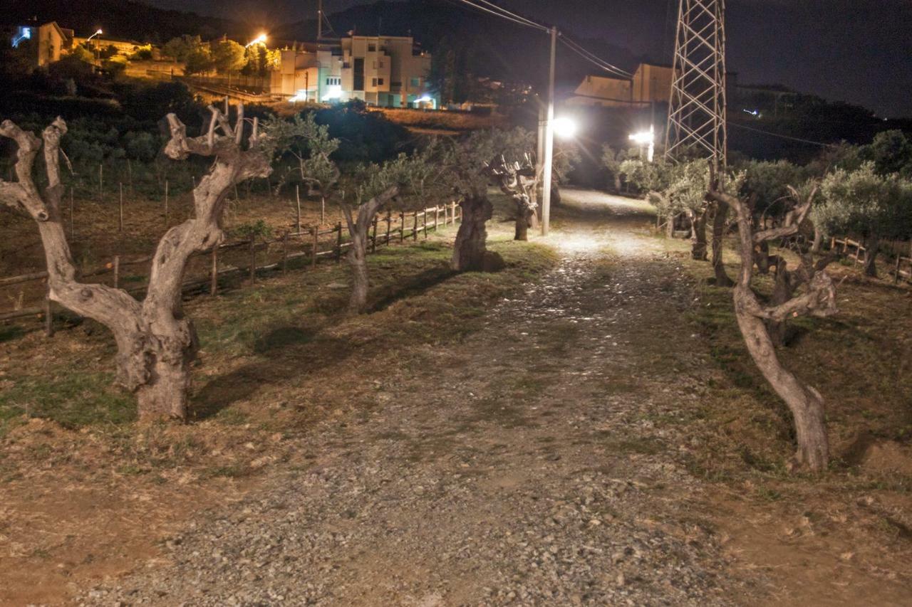 La Giara B&B San Demetrio Corone Dış mekan fotoğraf